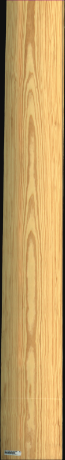 Carolina Pine, 21,5040