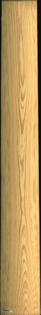 Carolina Pine, 22,8480