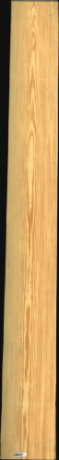 Carolina Pine, 25,2960