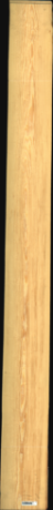 Carolina Pine, 20,0880