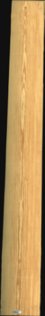 Carolina Pine, 26,0400