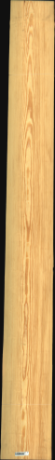 Carolina Pine, 23,0640