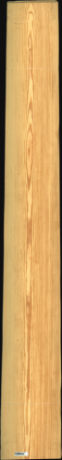 Carolina Pine, 27,5280