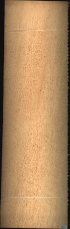 Bird Eye Maple, 31.0080