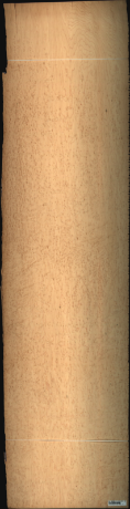 Bird Eye Maple, 15.8100