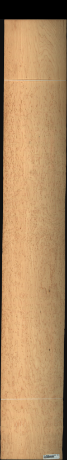 Bird Eye Maple, 8.5750