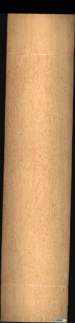 Bird Eye Maple, 31.8500