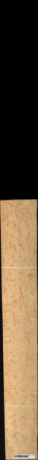 Bird Eye Maple, 2.6390