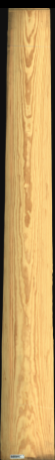 Carolina Pine, 20,5200