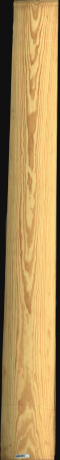 Carolina Pine, 20,8800