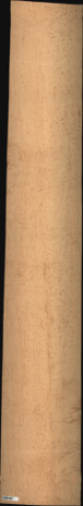 Bird Eye Maple, 23.6880