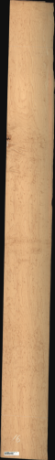 Bird Eye Maple, 16.1280