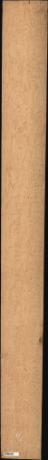 Bird Eye Maple, 15.1200