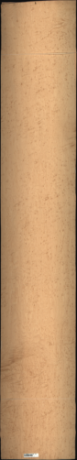 Bird Eye Maple, 25.7040