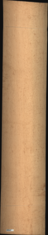 Bird Eye Maple, 30.2400