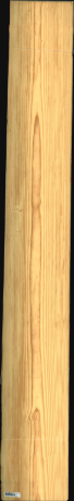 Carolina Pine, 24.6240