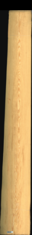 Carolina Pine, 28,4160