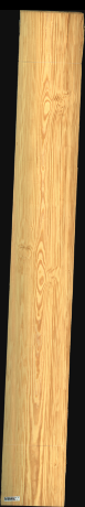 Carolina Pine, 22,8480