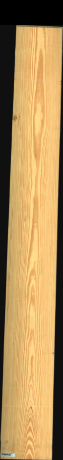 Carolina Pine, 19,4400