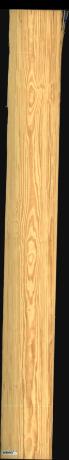 Carolina Pine, 20,8320