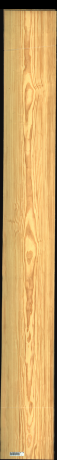 Carolina Pine, 21,5040