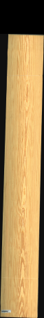 Carolina Pine, 19,5840