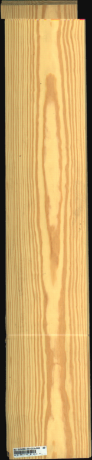 Carolina Pine, 14,1120