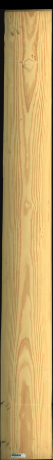 Carolina Pine, 19,8000