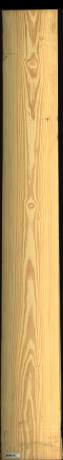 Carolina Pine, 22,4400