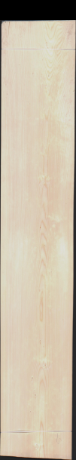 European Spruce, 21.8880