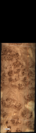 Mapa Burl, 30.2400