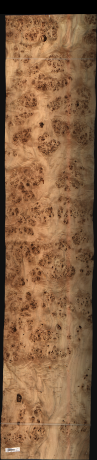 Mapa Burl, 35.5080