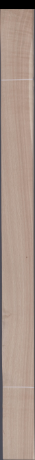 European White Oak, 15.1050