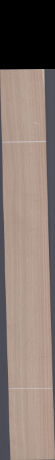 European White Oak, 14.3520