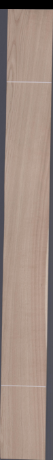 European White Oak, 16.5360