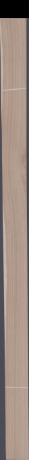 European White Oak, 8.7360