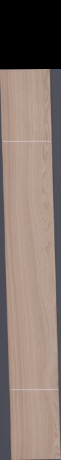 European White Oak, 16.0080