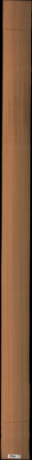 Western Red Cedar, 20.3360