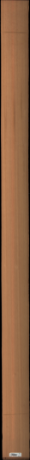 Western Red Cedar, 20.3360