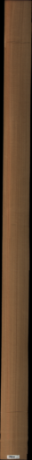 Western Red Cedar, 16.58475