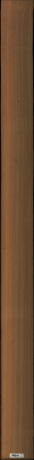 Western Red Cedar, 18.6960