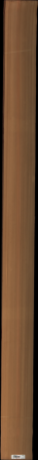 Western Red Cedar, 18.6960