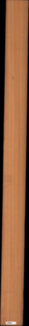 Western Red Cedar, 19.3800