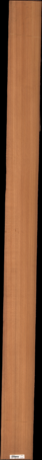 Western Red Cedar, 18.2400