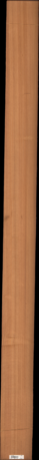 Western Red Cedar, 15.3900