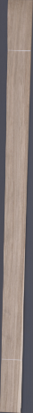 European White Oak, 19.5840