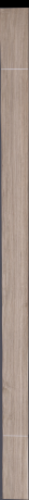 European White Oak, 19.2960