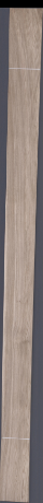 European White Oak, 21.4400