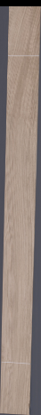 European White Oak, 28.7040