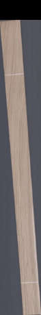 European White Oak, 10.0800